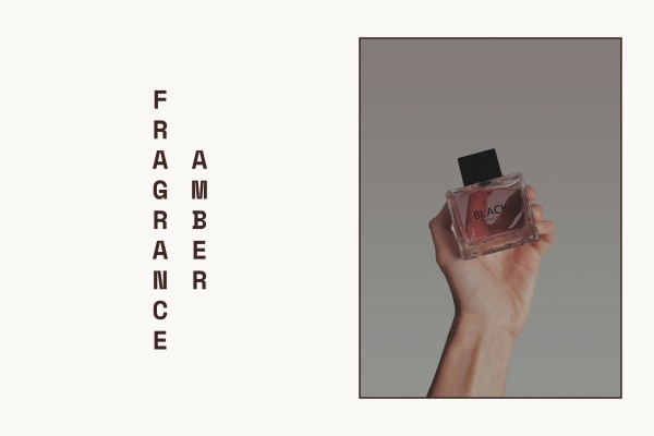 amber fragrance