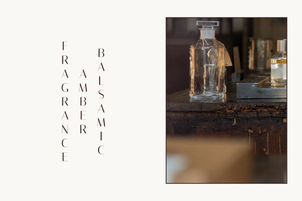 balsamic amber fragrance
