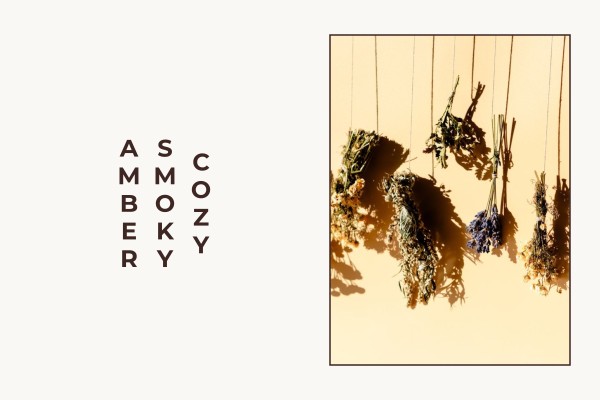 cozy smoky amber