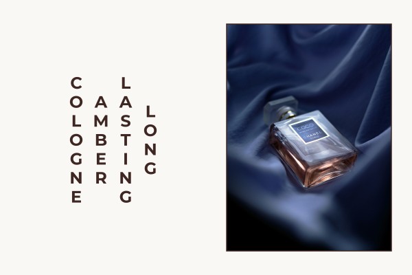 long lasting amber cologne