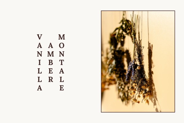 Montale - Amber Vanilla