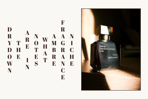 Niche Fragrance Ambre what notes are in the drydown