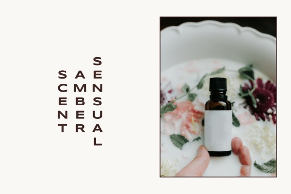 sensual amber scent