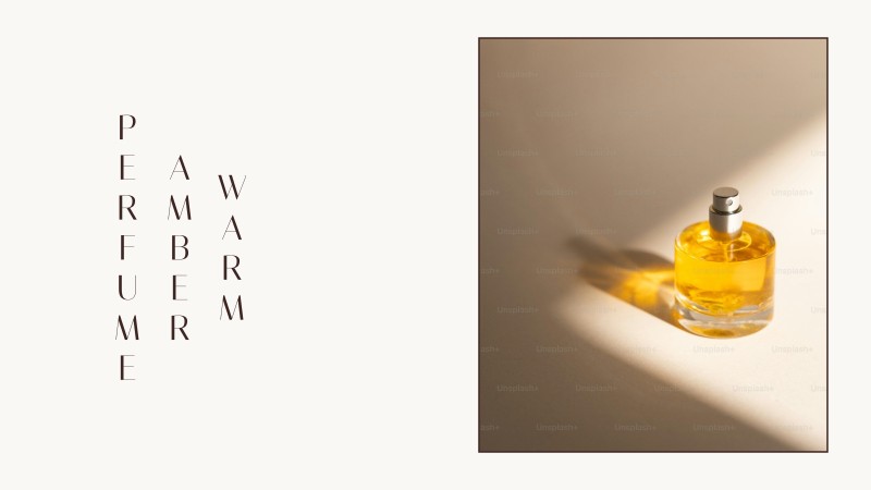 warm amber perfume
